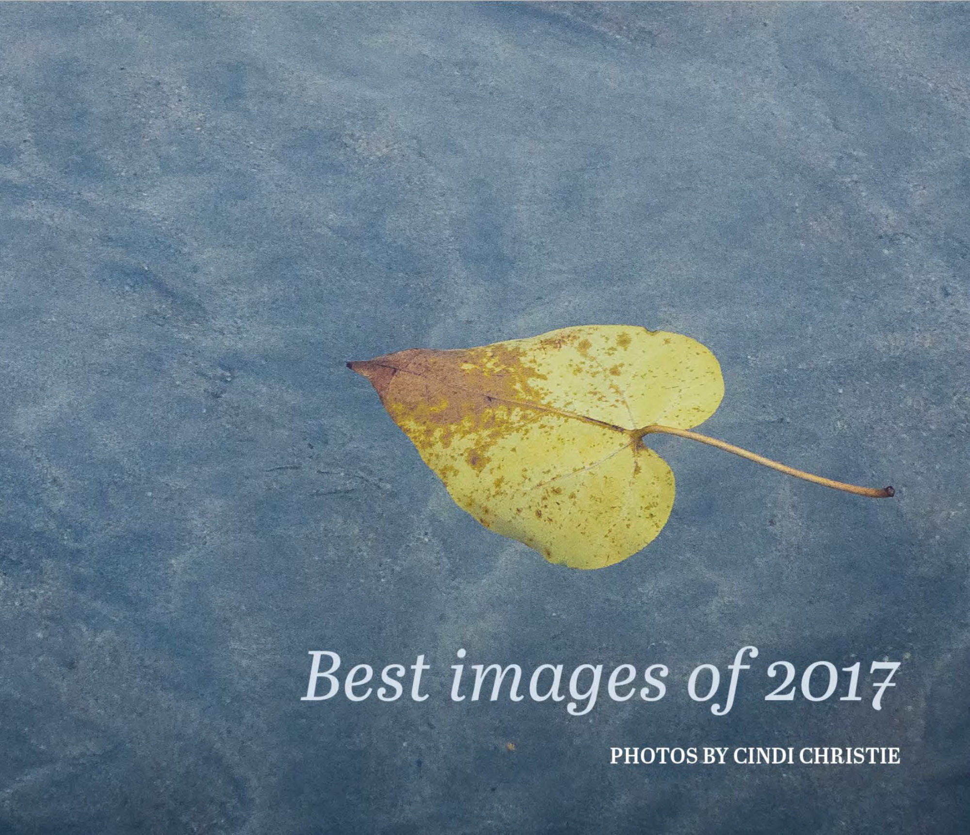 Best Images of 2017 cover