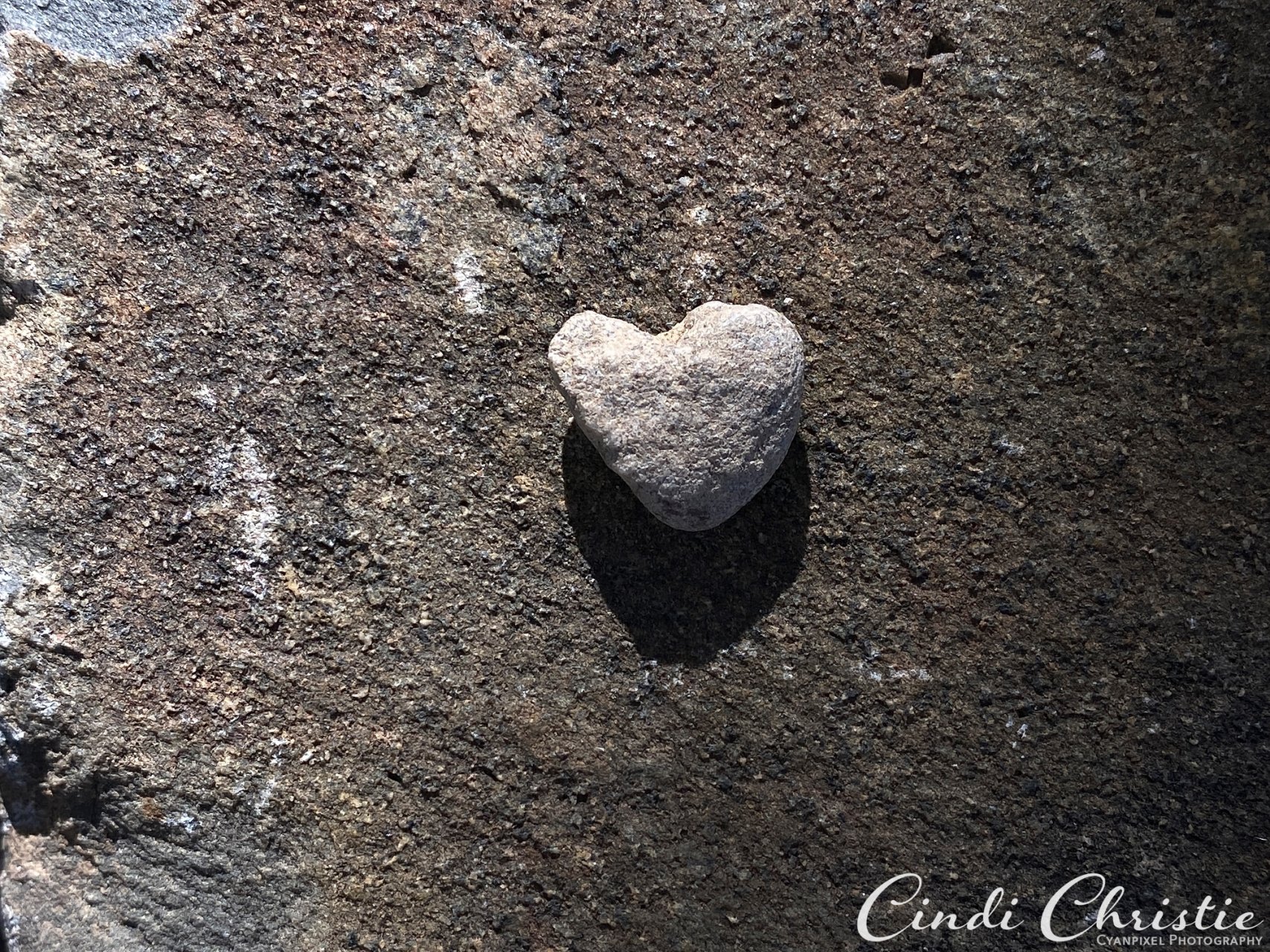 A heart-shaped pebble is found while planting daffodils on Oct. 17, 2020, in Salmon, Idaho.  (© 2020 Cindi Christie/Cyanpixel)