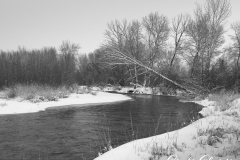 The Lemhi River flows through a snowy landscape on Thursday, Feb. 6, 2020, in Salmon, Idaho.  (© 2020 Cindi Christie/Cyanpixel)