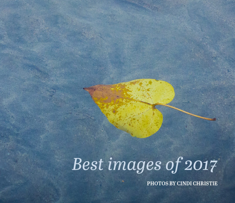 Best of 2017 photo book