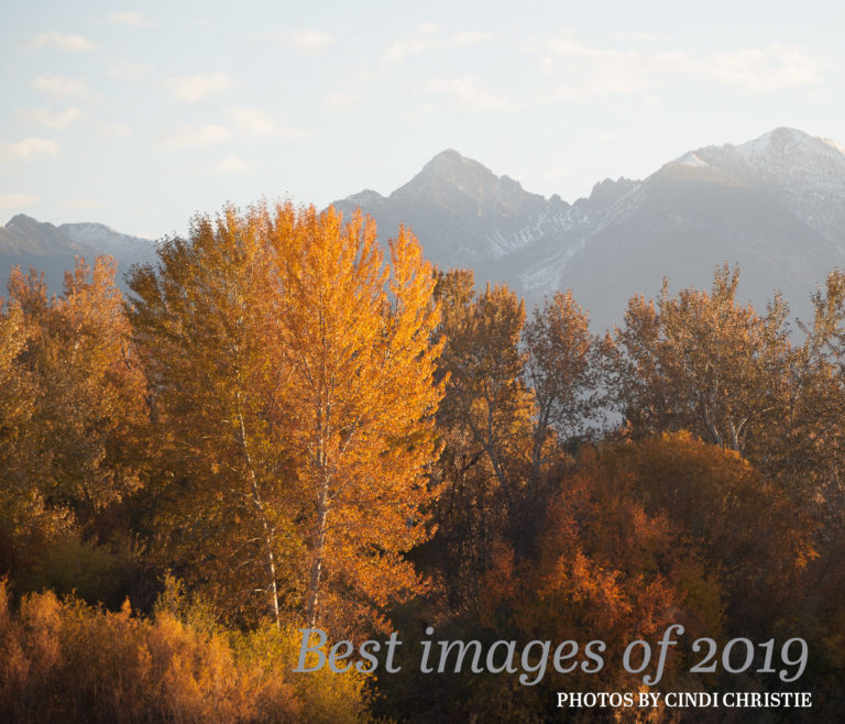 Best of 2019 photo e-book