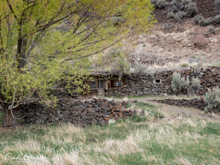 Dugout Dick an Idaho legend