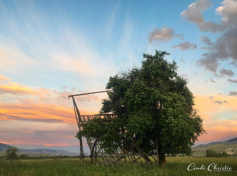 Ranch’s antique ‘beaverslide’ hay stacker victim of wind